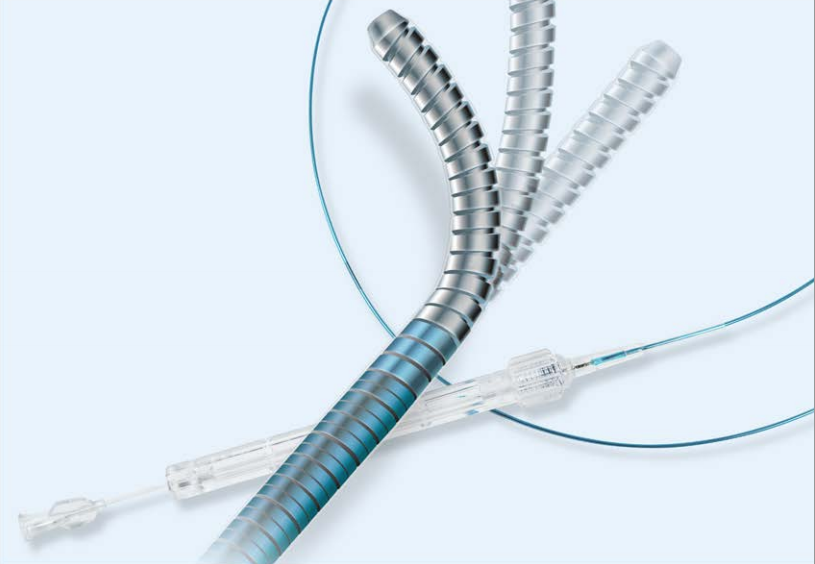 Vascular Solutions >...