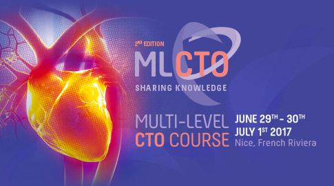 SESSION 3: RETROGRADE CTO PCI BASICS