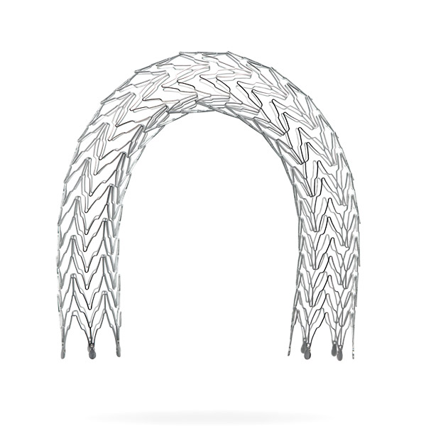 STENTS
