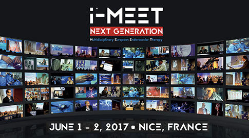 i-MEET 2017 - Thursday afternoon