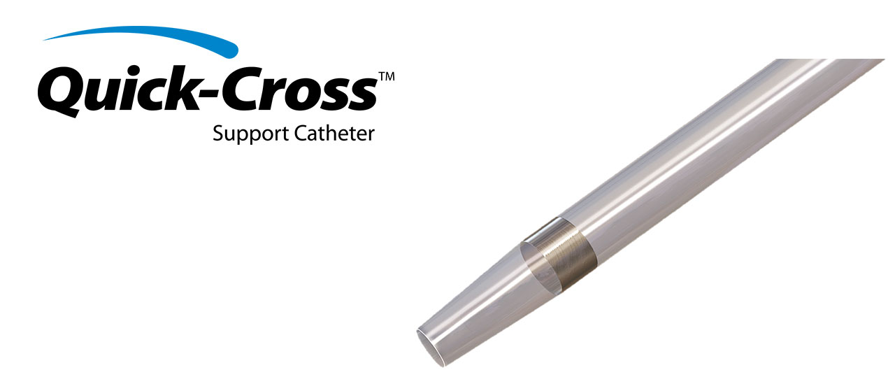 CATHETERS
