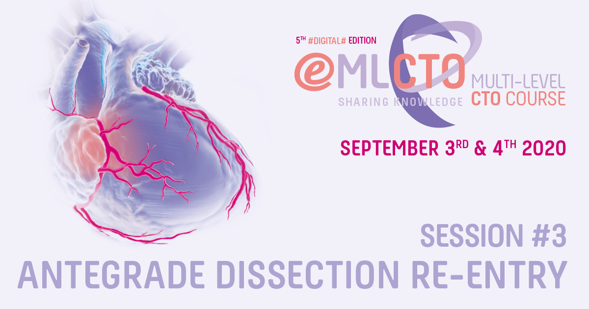 SESSION 3 - ANTEGRADE DISSECTION RE-ENTRY