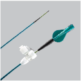 CATHETERS
