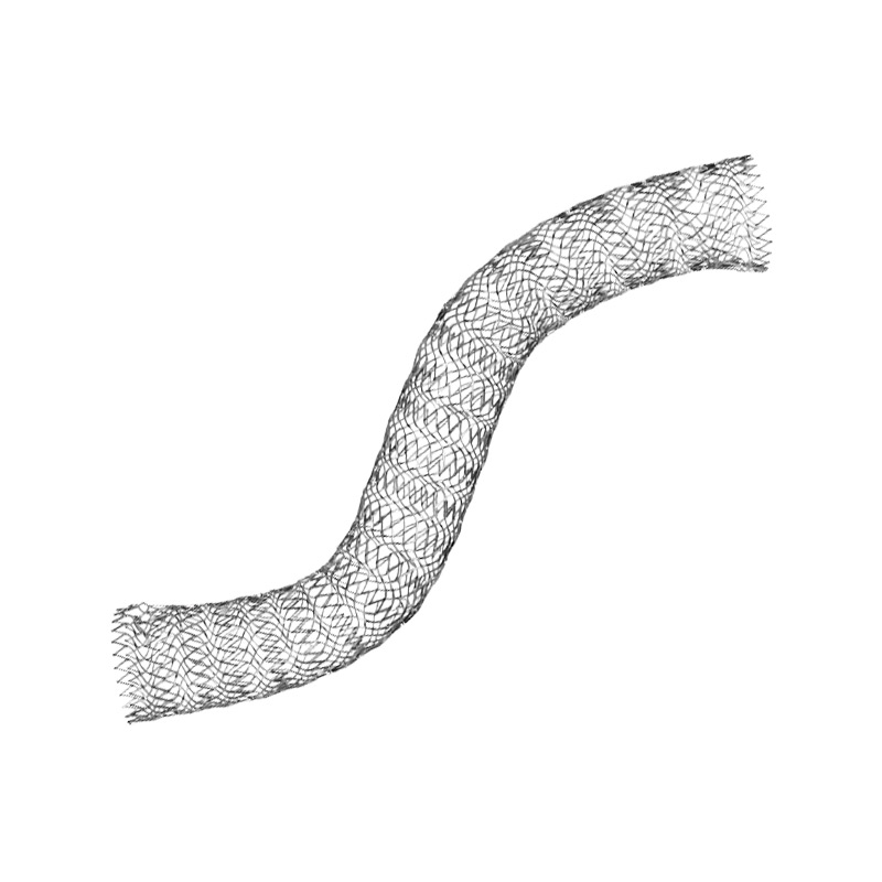 STENTS
